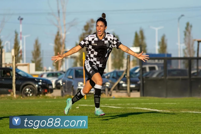 天顺娱乐官网平台生态图