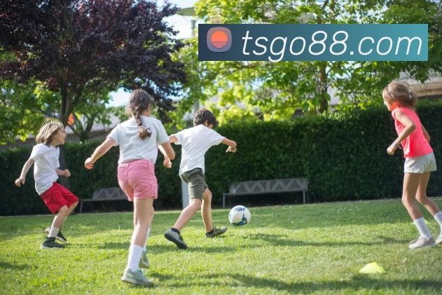 天顺娱乐官网全站App