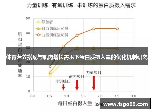 体育营养搭配与肌肉增长需求下蛋白质摄入量的优化机制研究