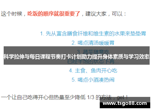 科学拉伸与每日课程节奏打卡计划助力提升身体素质与学习效率