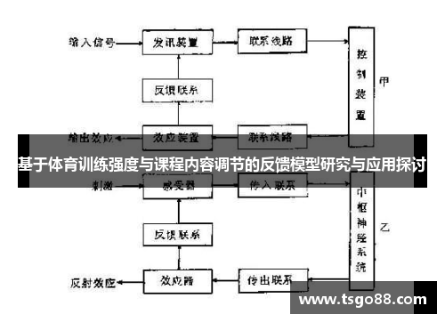 基于体育训练强度与课程内容调节的反馈模型研究与应用探讨